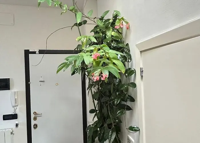 Διαμέρισμα Bruschi 24 *